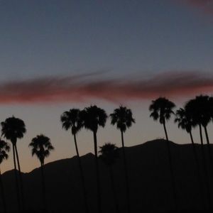 Meet your Posher, Gianna